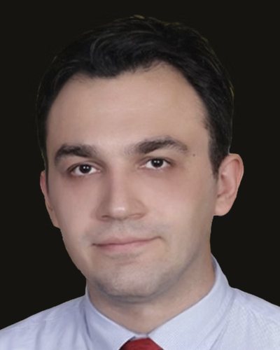 Hamid SeyedHashemi